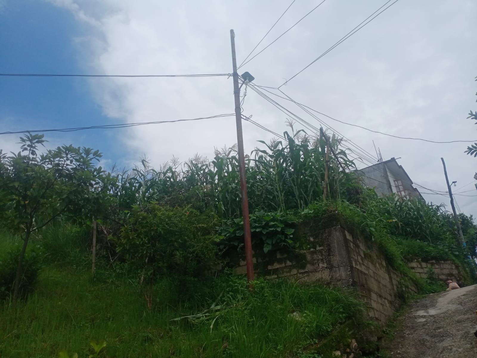 property-image