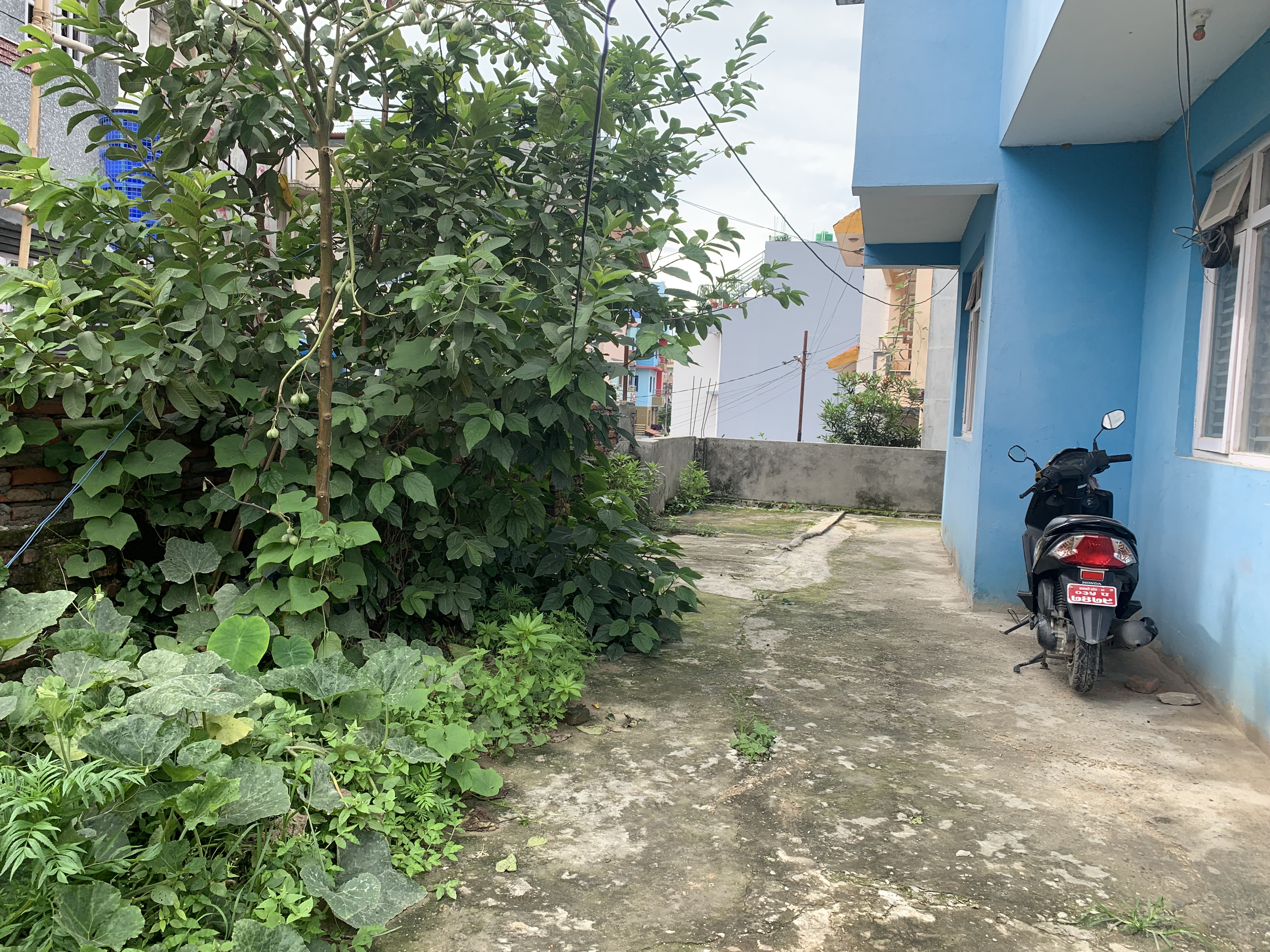 Picture of Madhyapur Thimi Municipality, Bagmati