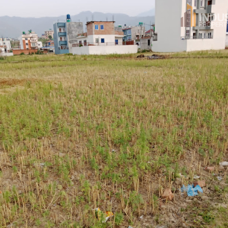 Picture of Mahalaxmi Municipality, Bagmati