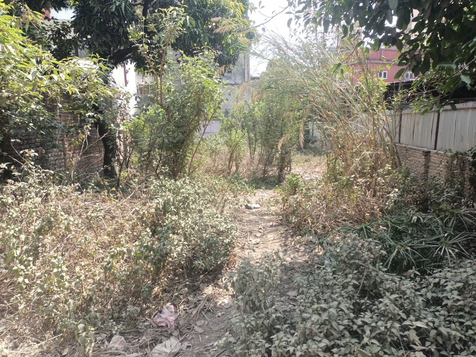 Picture of Budhanilkantha Municipality, Bagmati