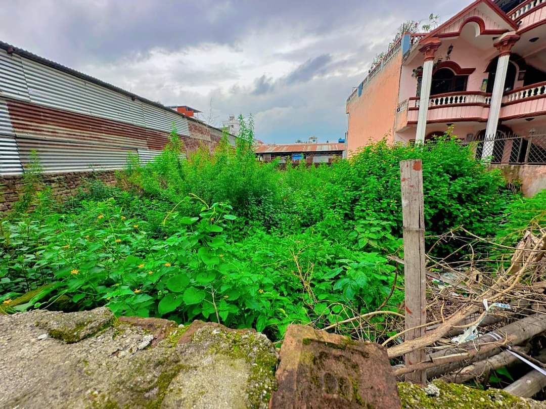 Picture of Budhanilkantha Municipality, Bagmati