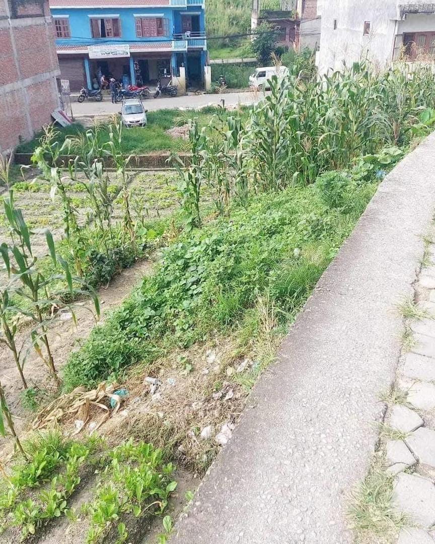 Picture of Madhyapur Thimi Municipality, Bagmati