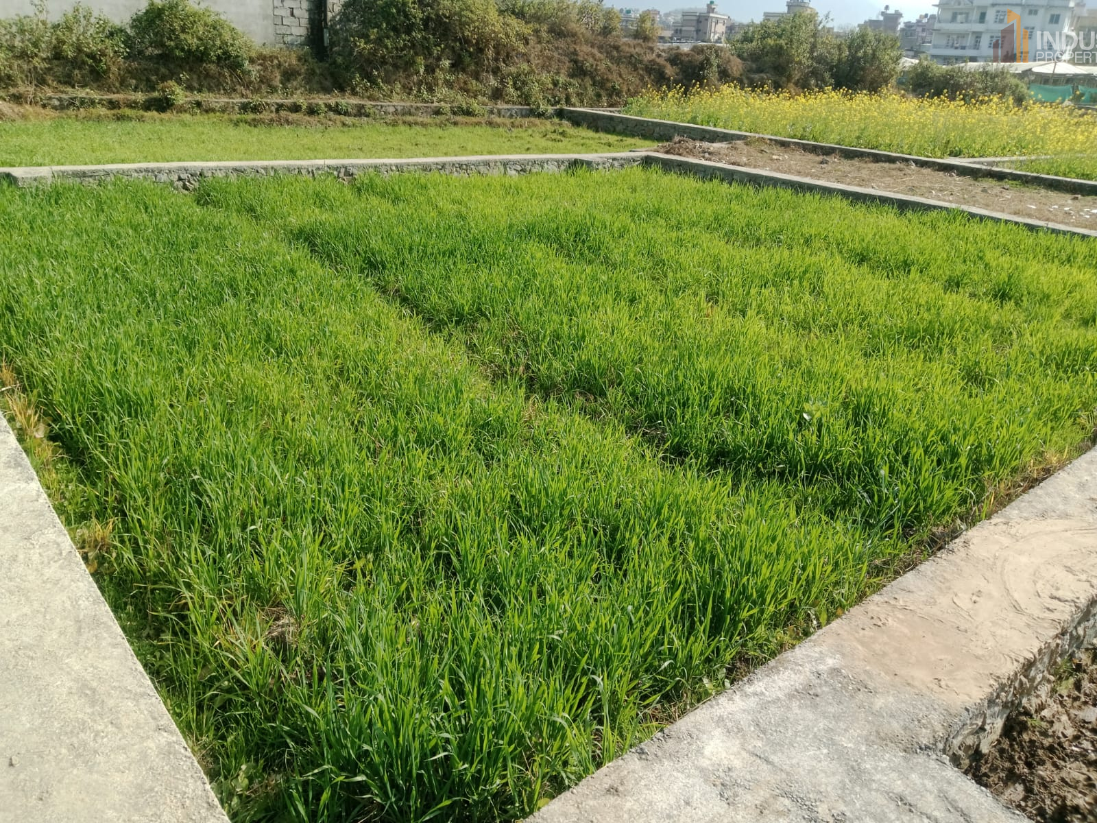 Picture of Lalitpur Metropolitan City, Bagmati
