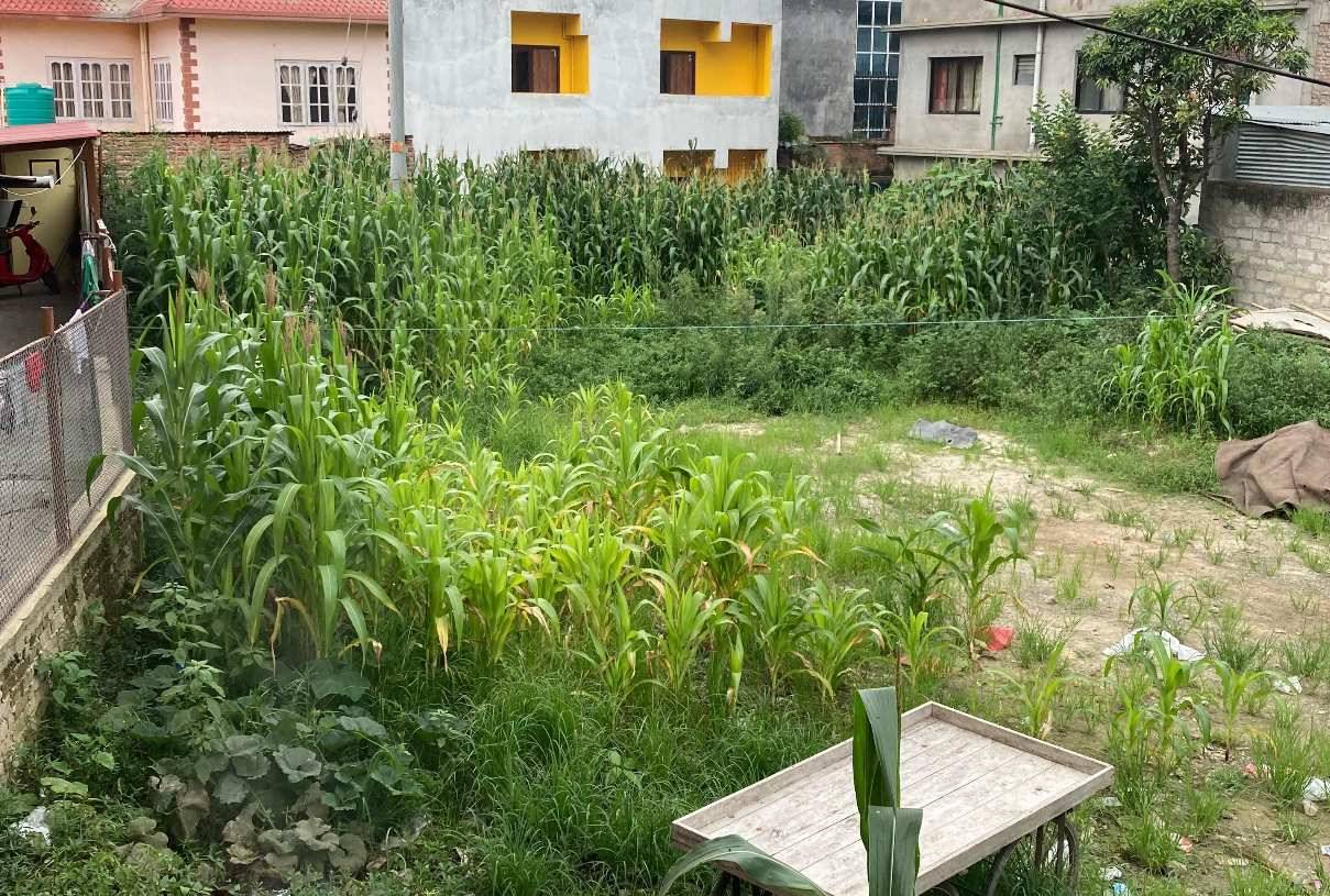Picture of Kathmandu Metropolitan City, Bagmati