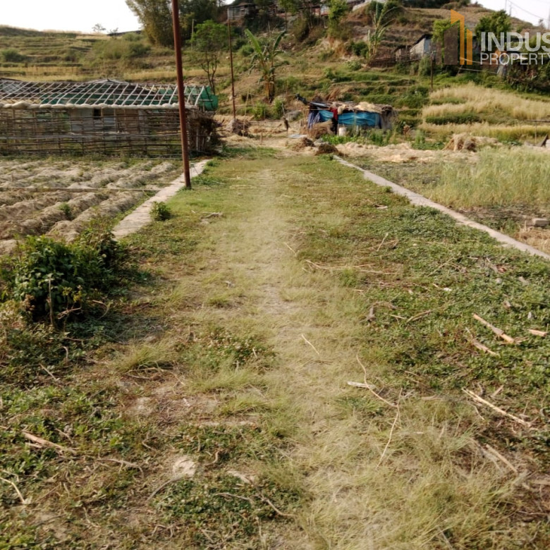 Picture of Lalitpur Metropolitan City, Bagmati