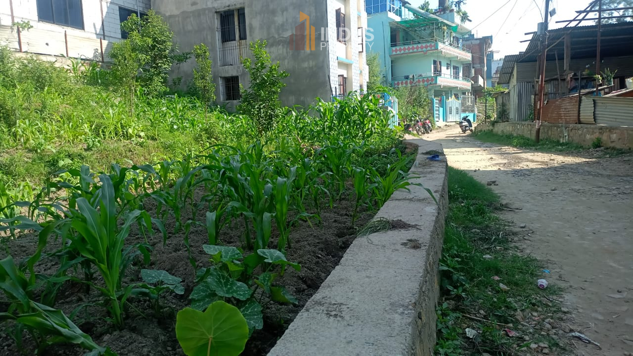 Picture of Kageshwari Manohara Municipality, Bagmati