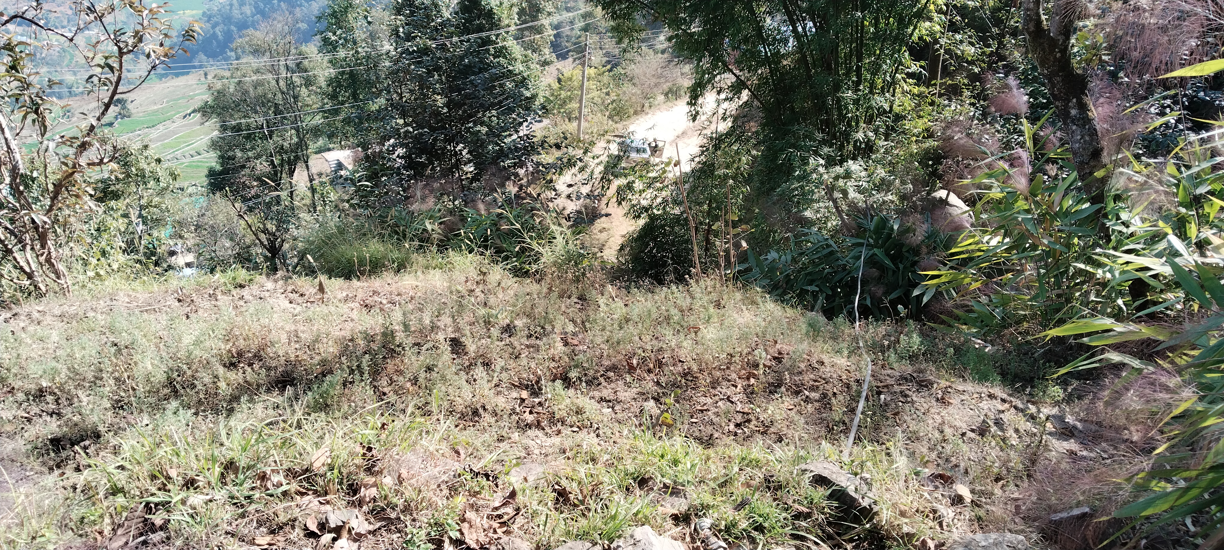 Picture of Dhulikhel Municipality, Bagmati