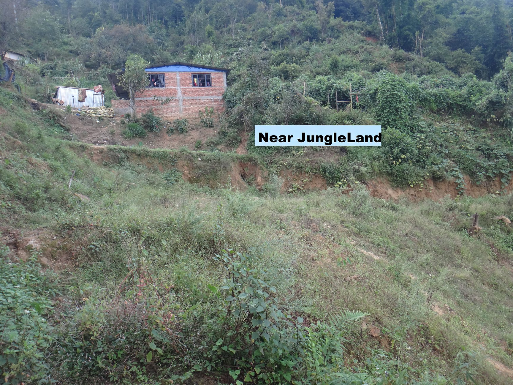 Picture of Suryabinayak Municipality, Bagmati Province