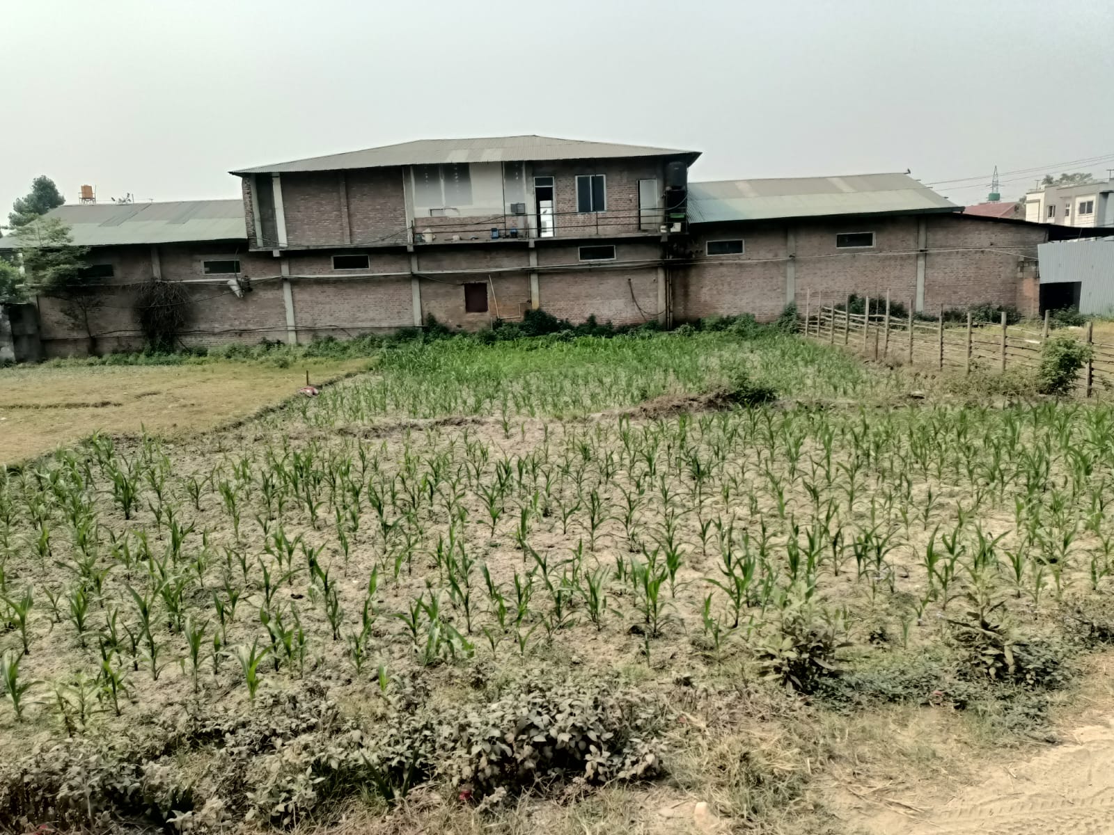 Picture of Budhanilkantha Municipality, Bagmati