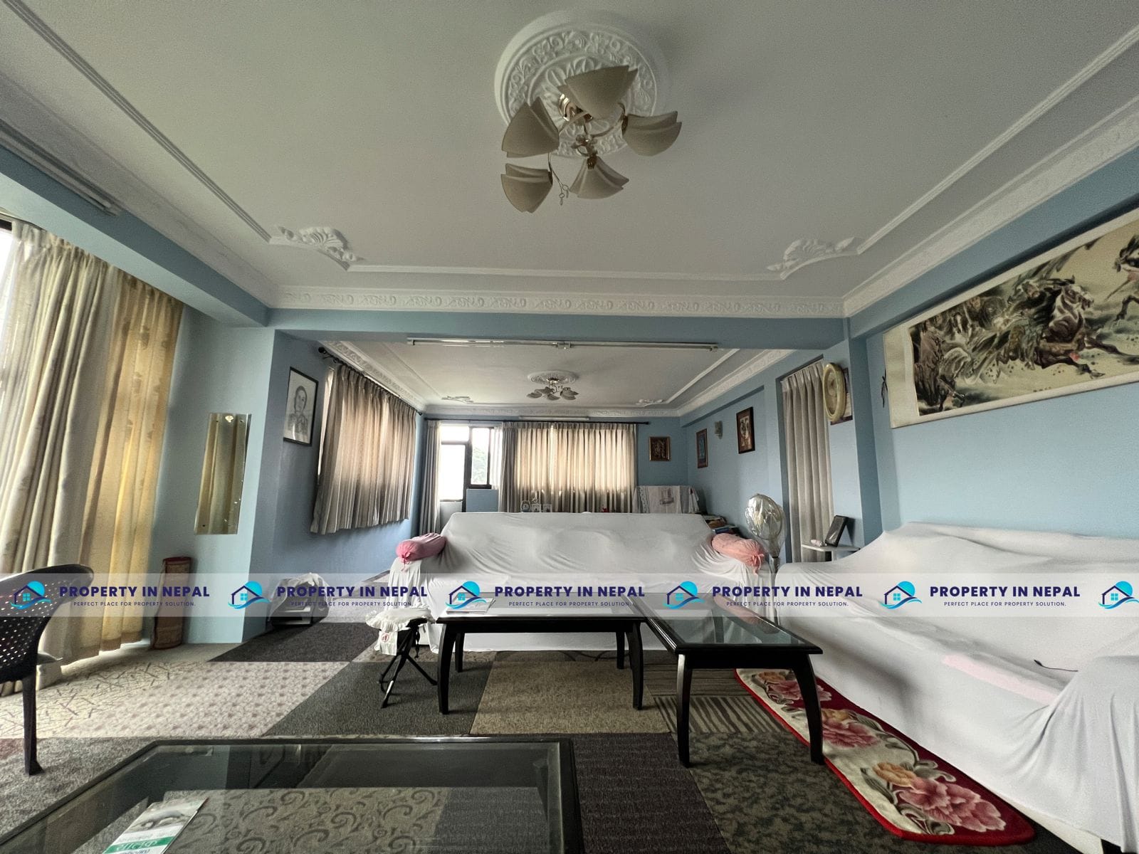 property-image