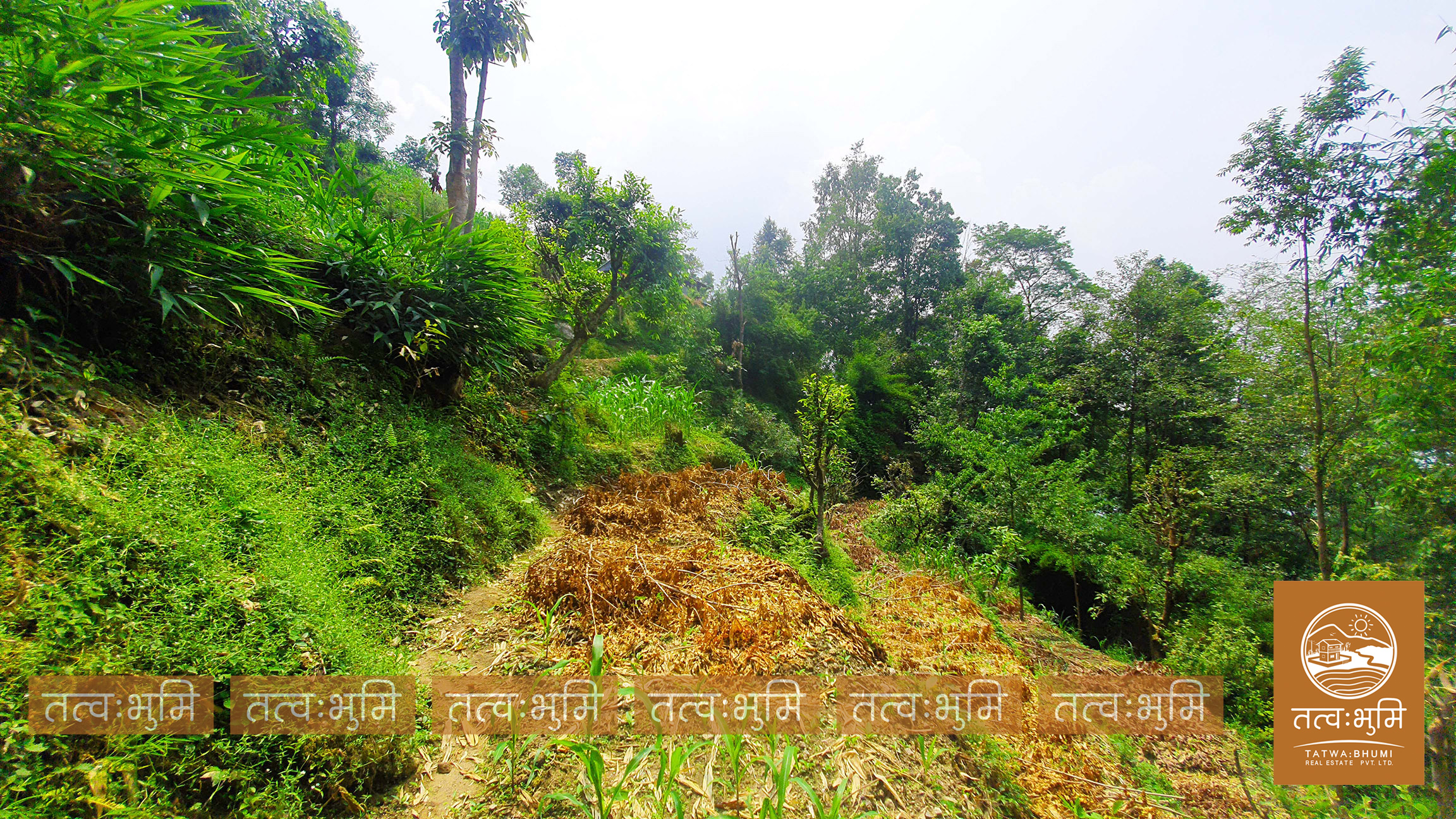 Picture of Shivapuri Rural Municipality, Bagmati