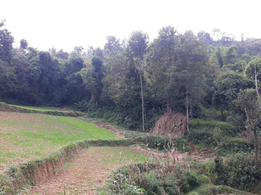 Picture of Godawari Municipality, Bagmati Province