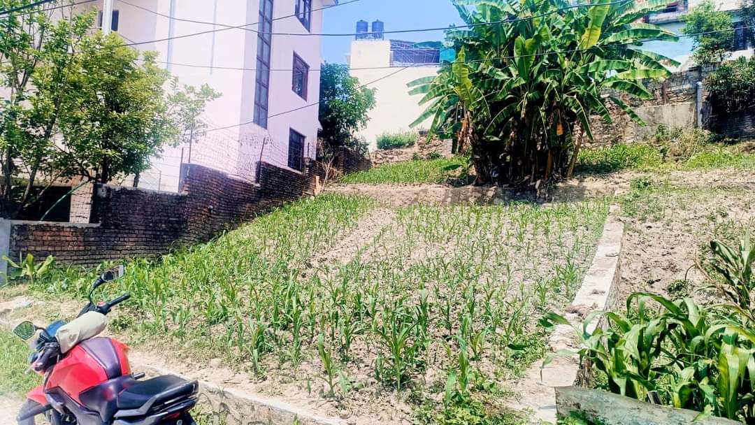 Picture of Budhanilkantha Municipality, Bagmati