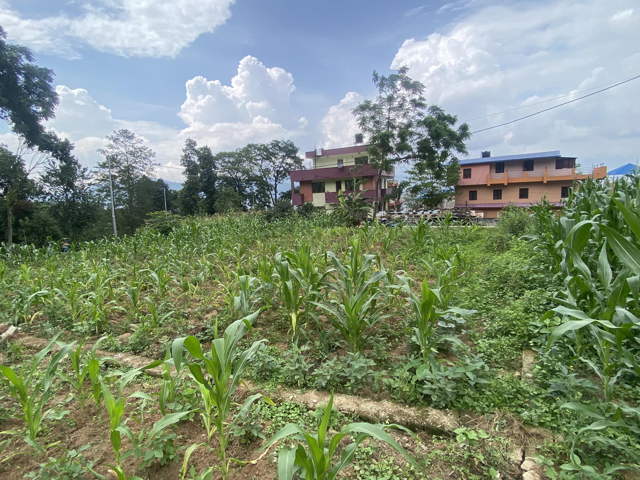 Picture of Kirtipur Municipality, Bagmati
