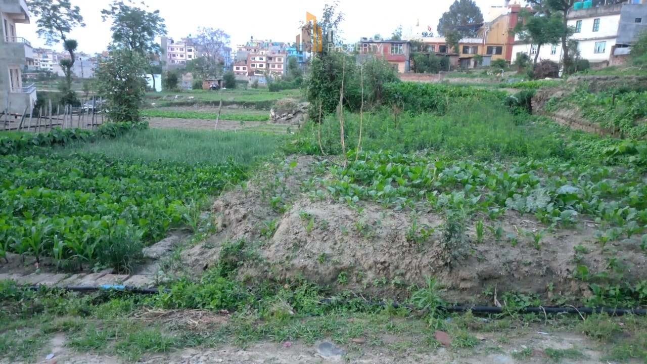 Picture of Madhyapur Thimi Municipality, Bagmati