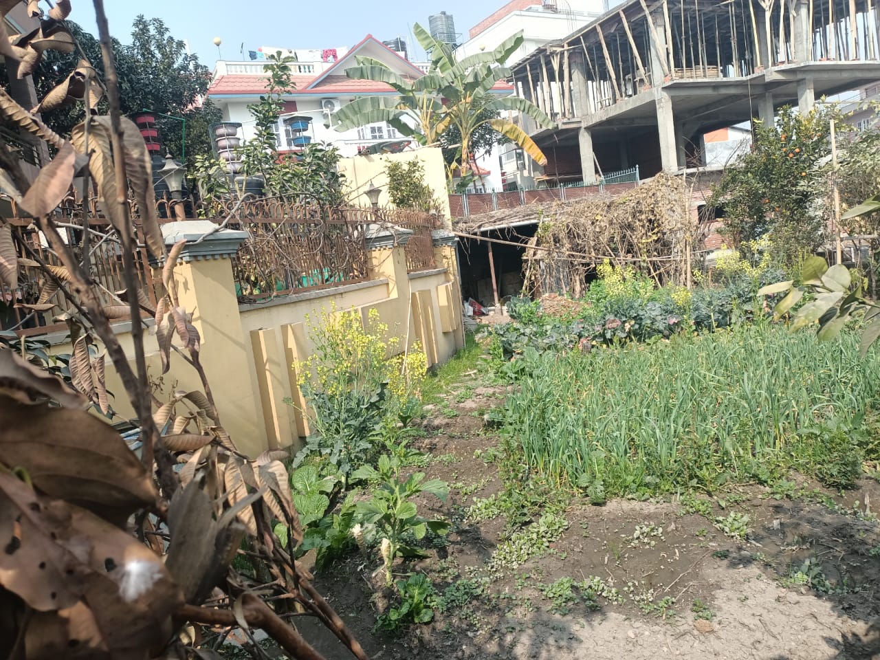 Picture of Budhanilkantha Municipality, Bagmati