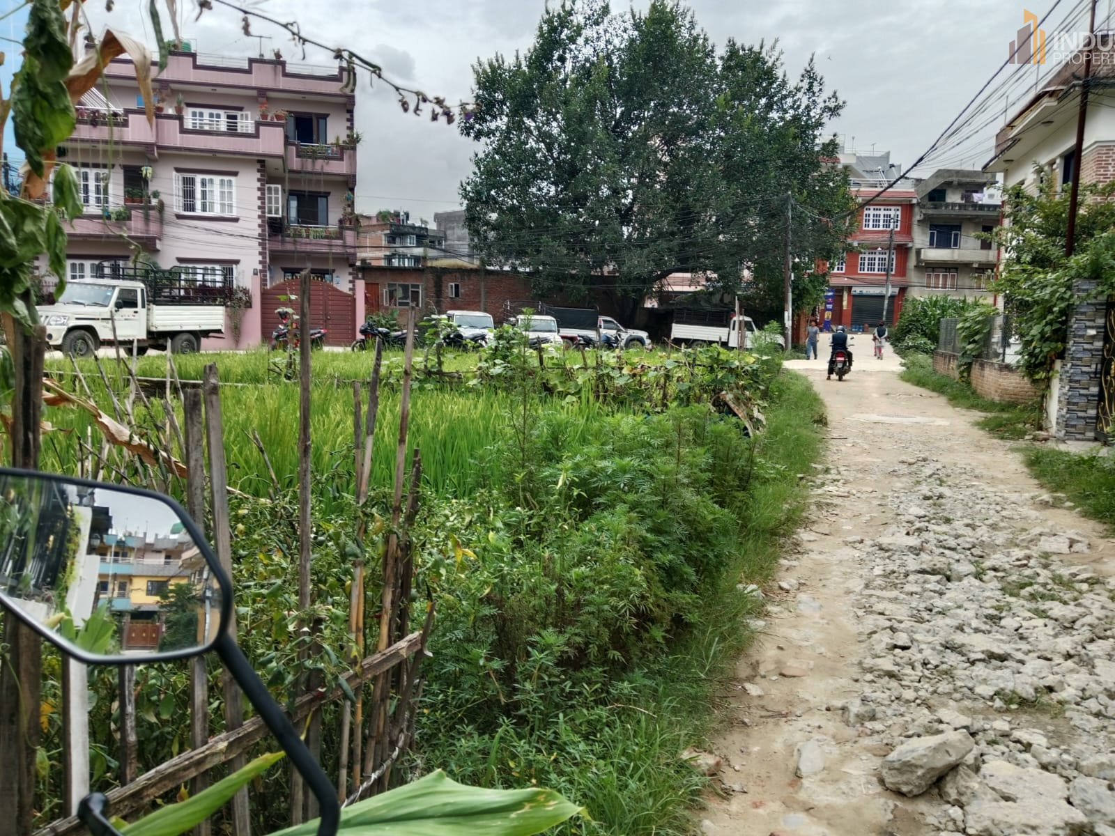 Picture of Mahalaxmi Municipality, Bagmati