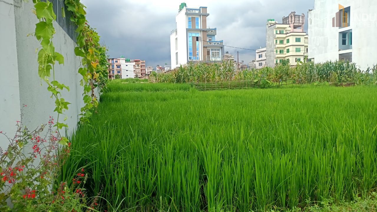 Picture of Madhyapur Thimi Municipality, Bagmati