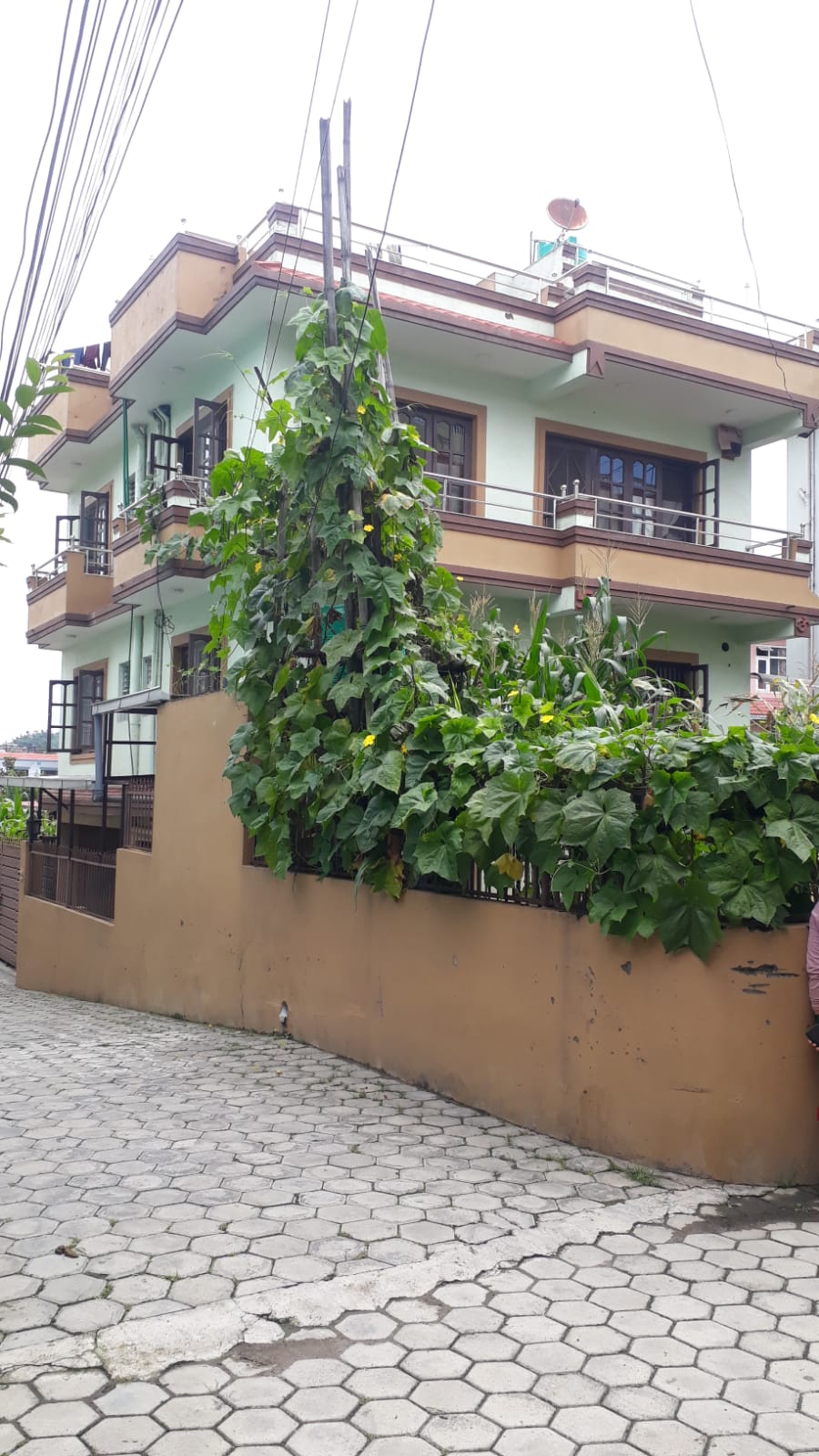 Picture of Chandragiri Municipality, Bagmati