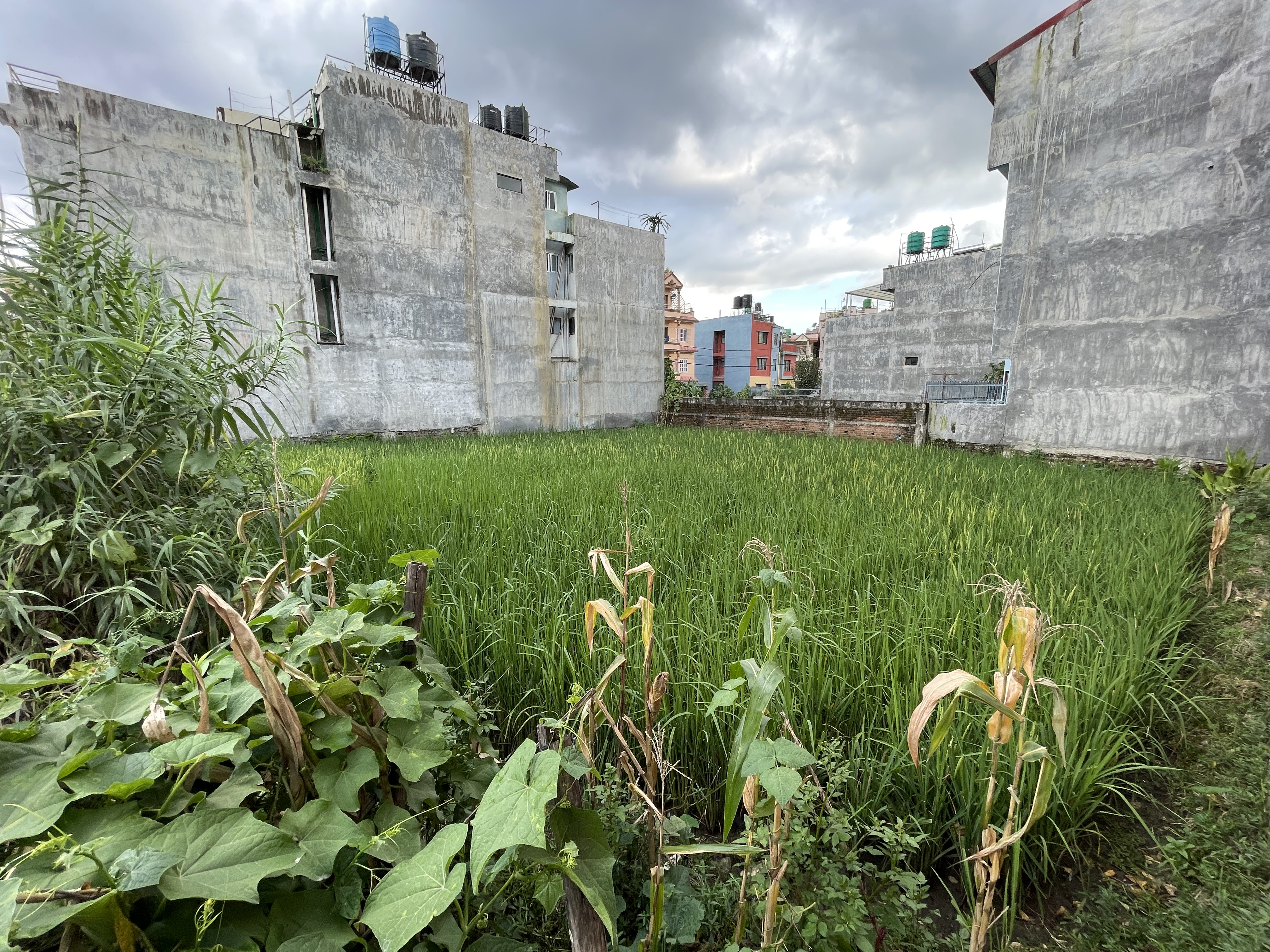 Picture of Nagarjun Municipality, Bagmati