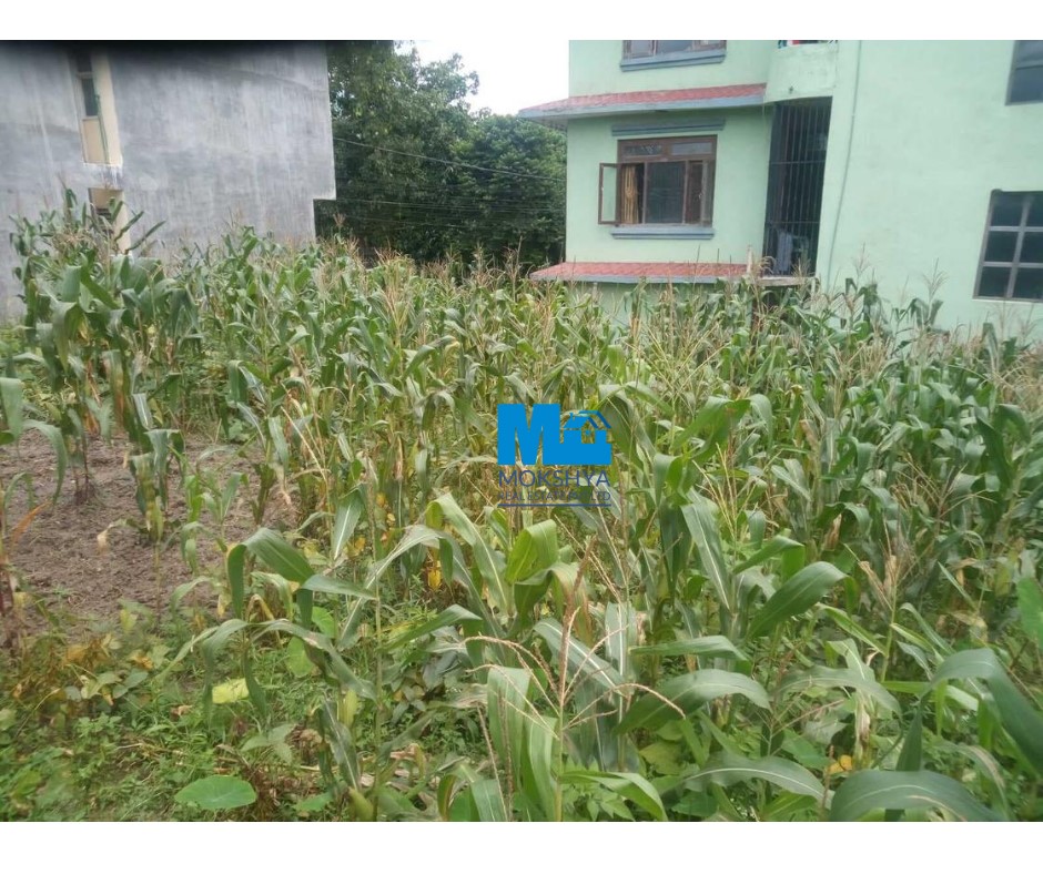 Picture of Madhyapur Thimi Municipality, Bagmati Province
