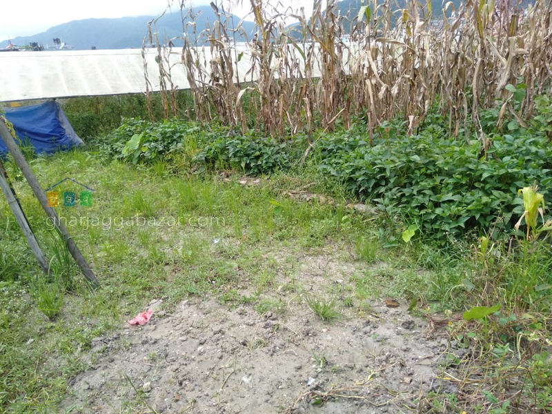 Picture of Budhanilkantha Municipality, Bagmati Province
