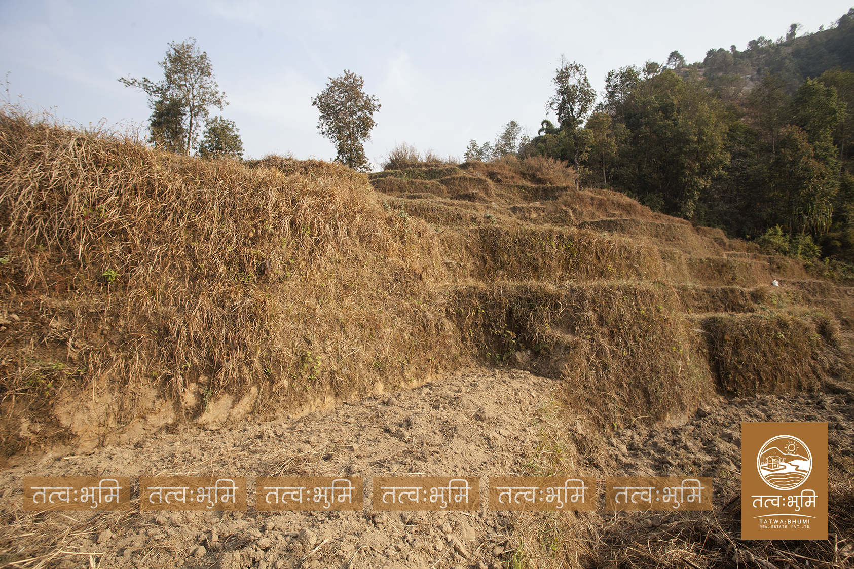 Picture of Shivapuri Rural Municipality, Bagmati
