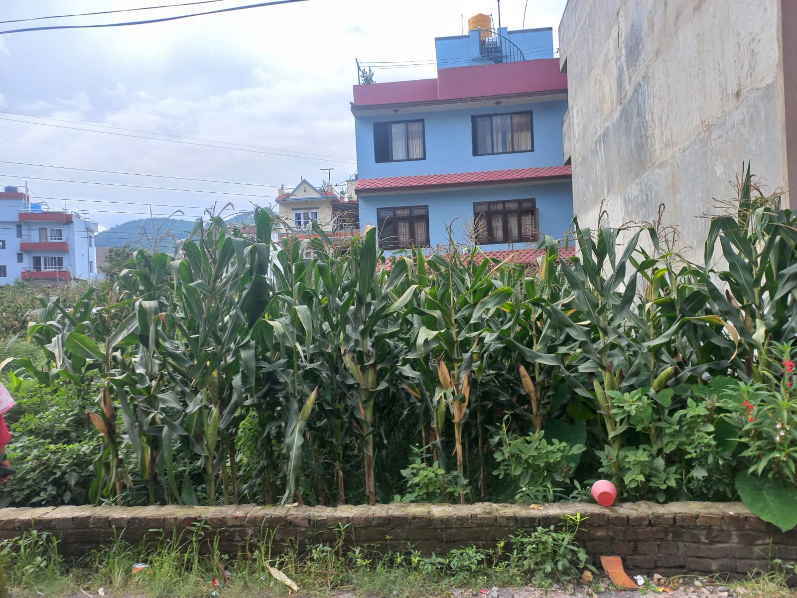 property-image