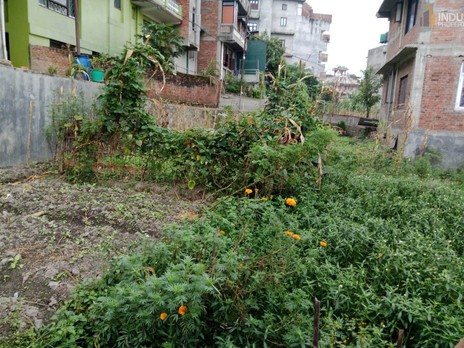 Picture of Mahalaxmi Municipality, Bagmati