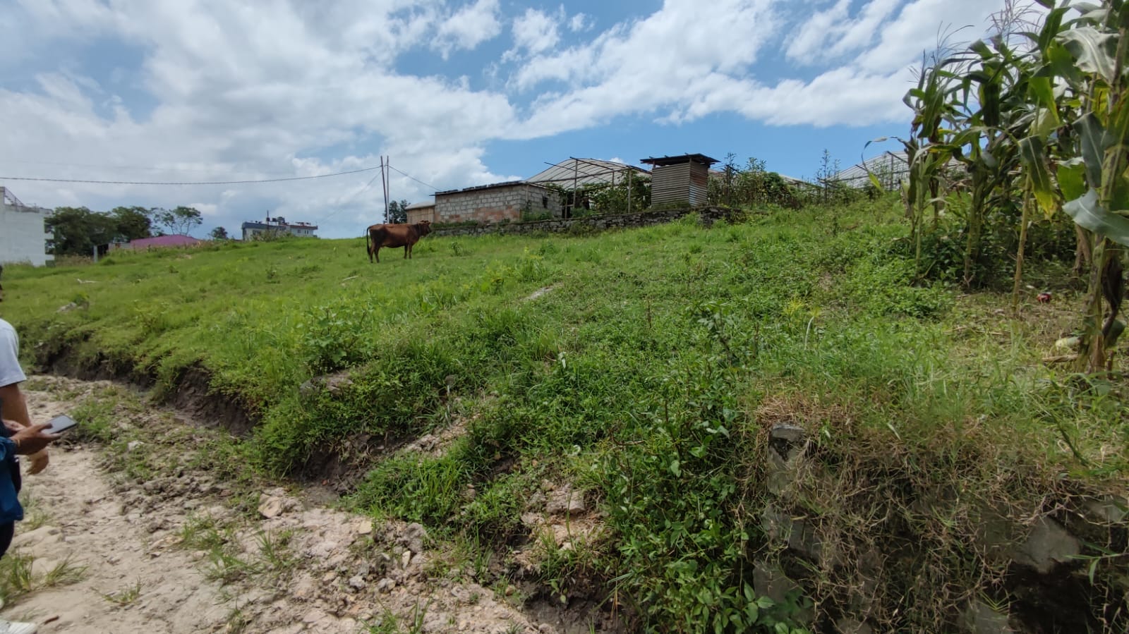 Land for Sale in Chobhar, Kathmandu