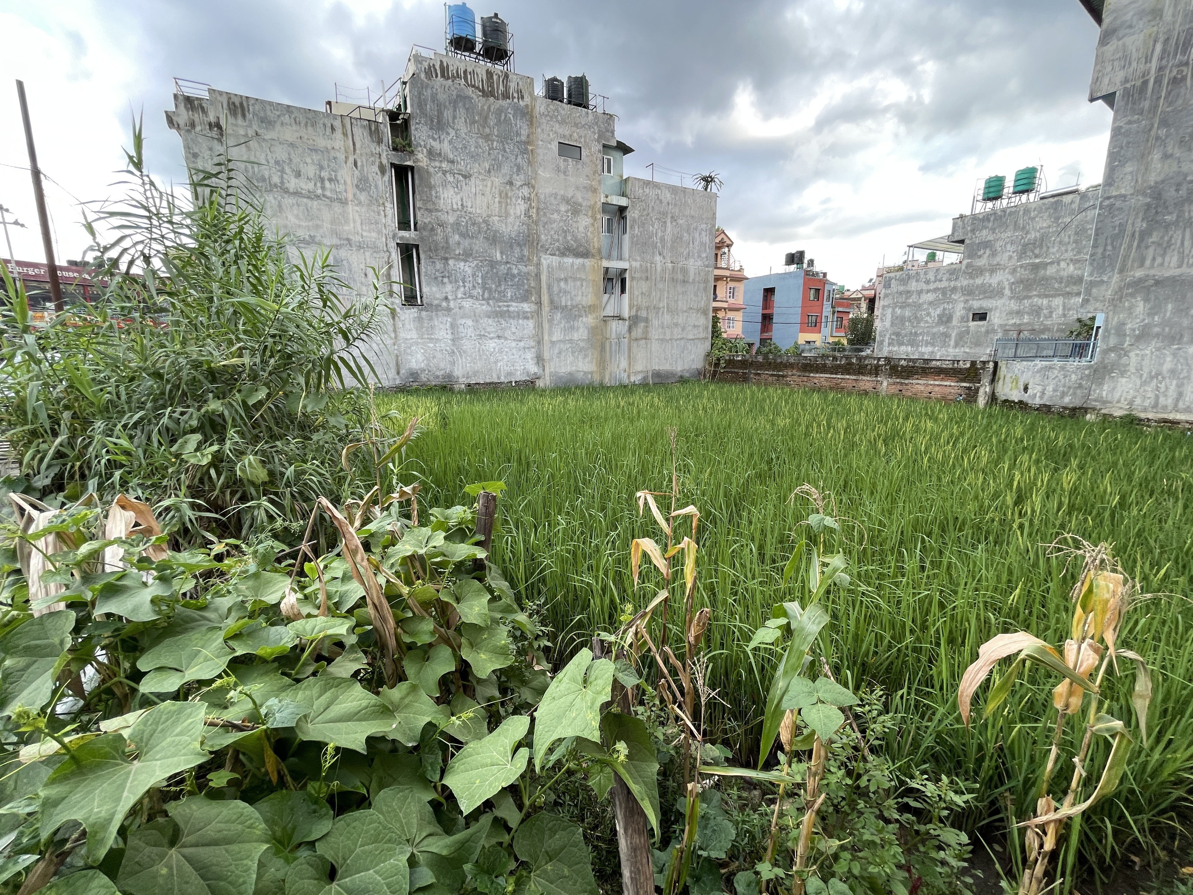 Picture of Nagarjun Municipality, Bagmati