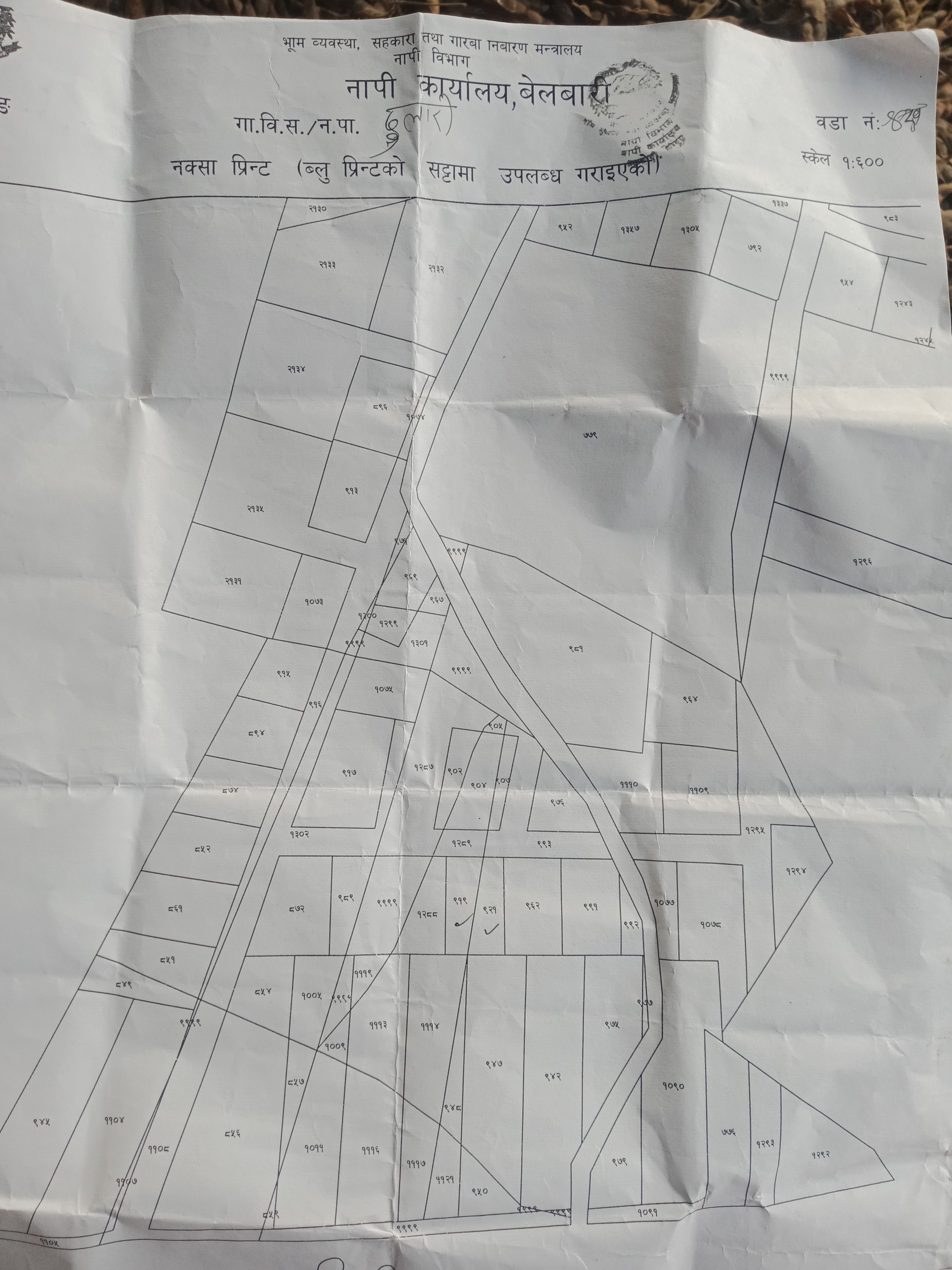 Picture of Sundar Haraicha Municipality, Koshi