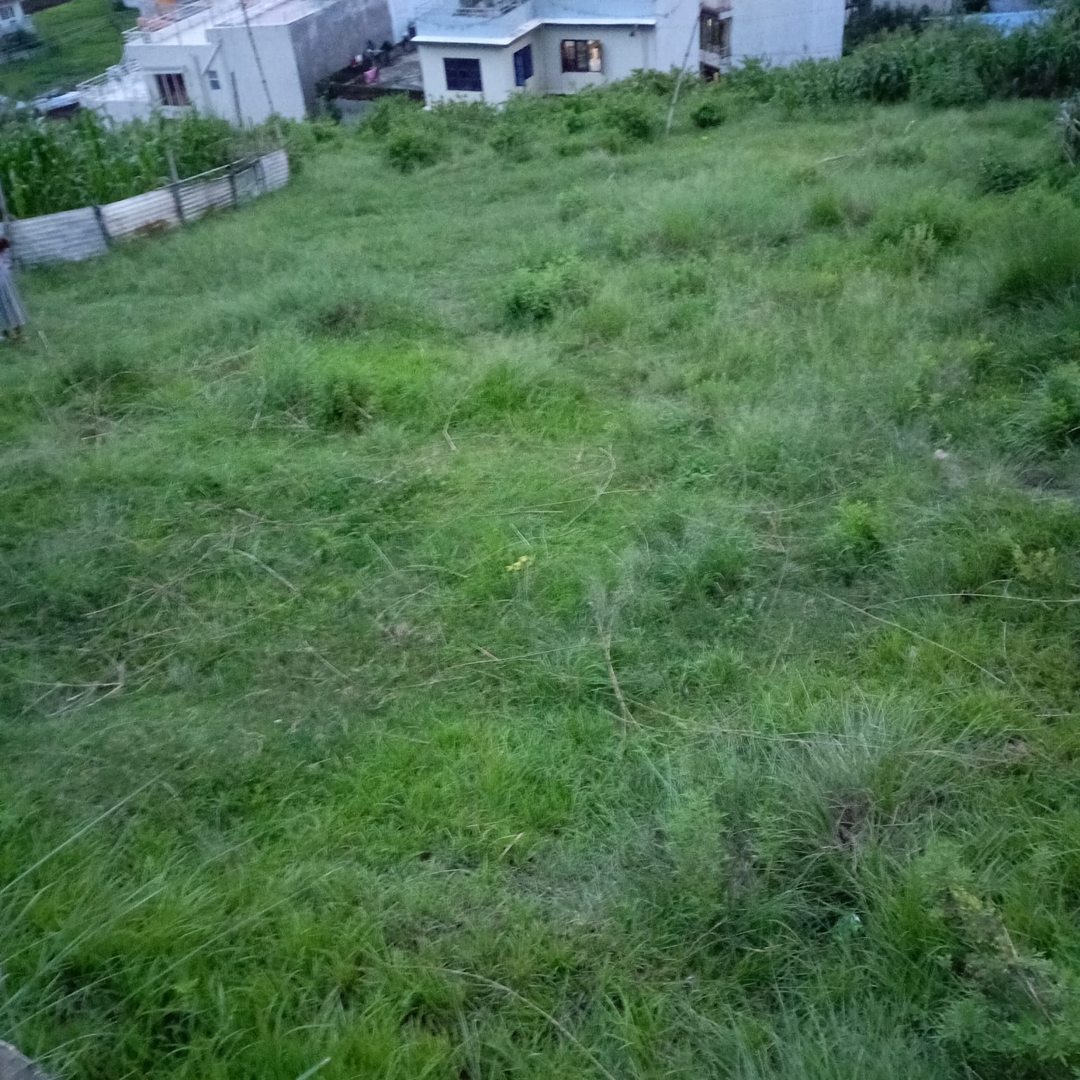 Picture of Budhanilkantha Municipality, Bagmati