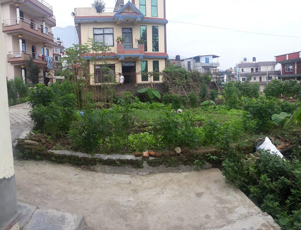 Picture of Chandragiri Municipality, Bagmati Province