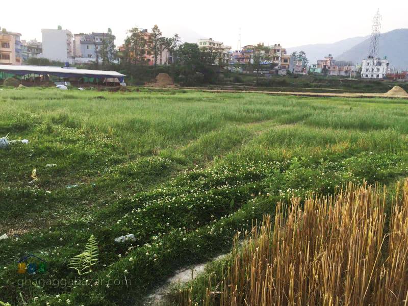 Picture of Tokha Municipality, Bagmati Province