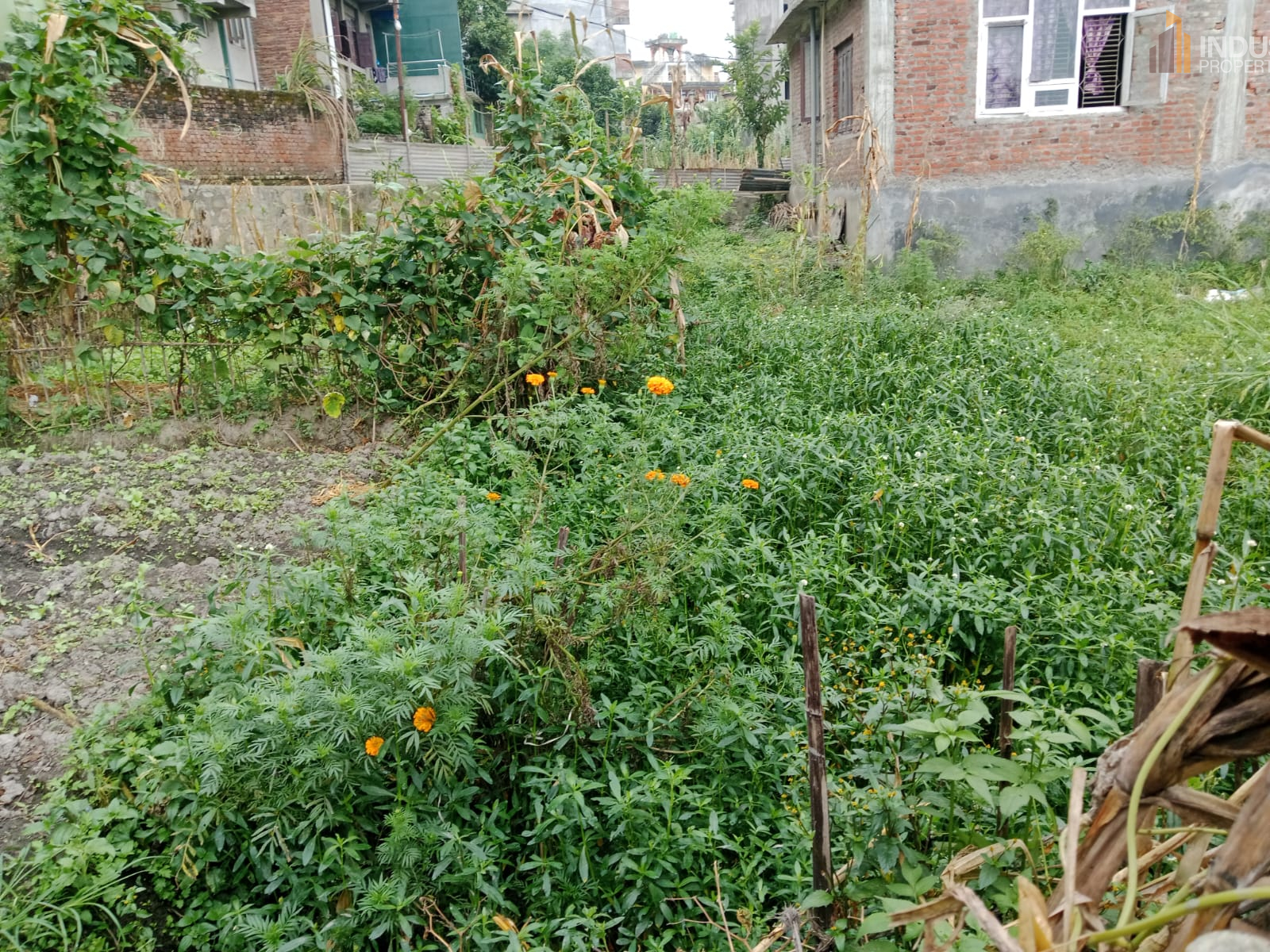 Picture of Mahalaxmi Municipality, Bagmati