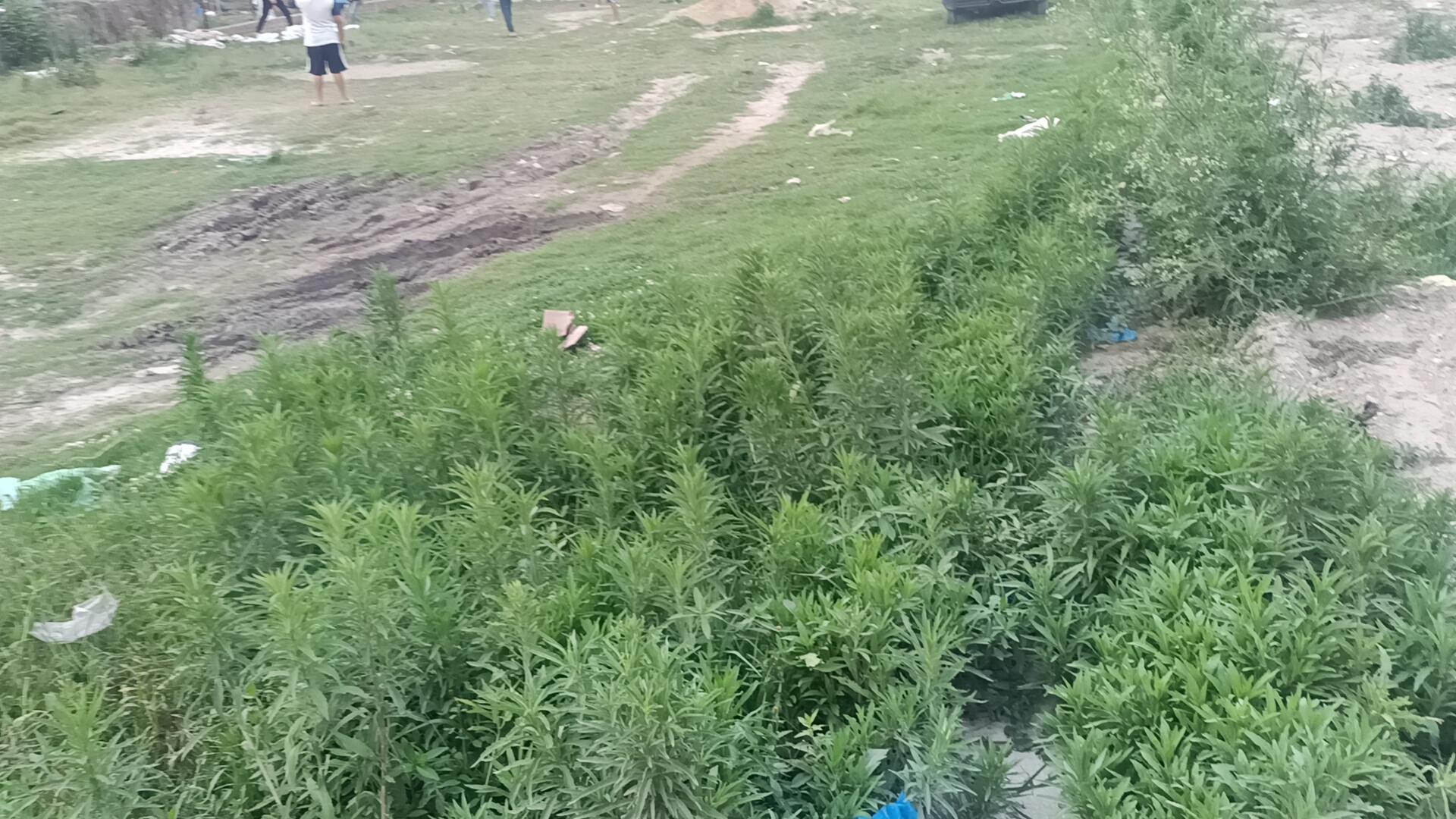 Picture of Gokarneshwar Municipality, Bagmati