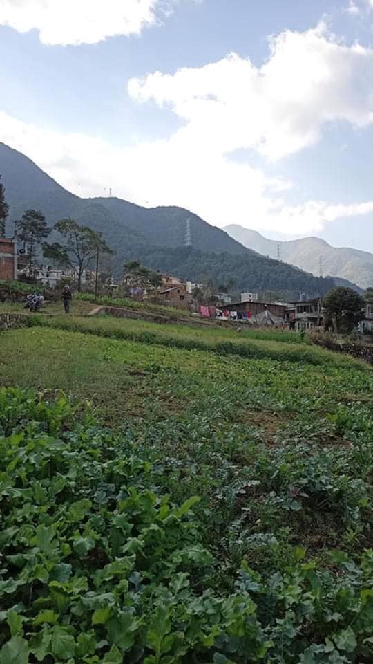 Picture of Chandragiri  Municipality, Bagmati Province