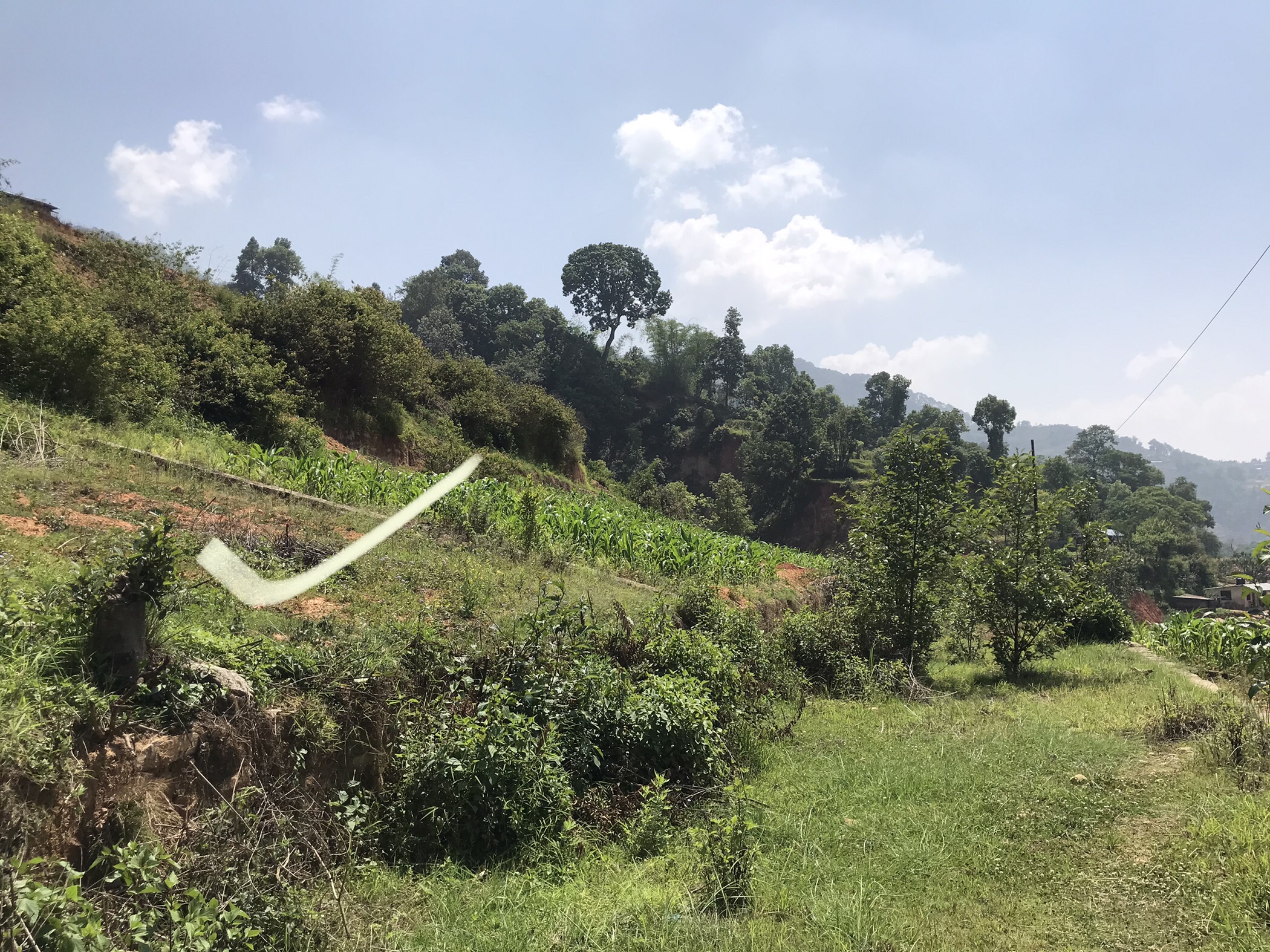 Picture of Nagarjun Municipality, Bagmati