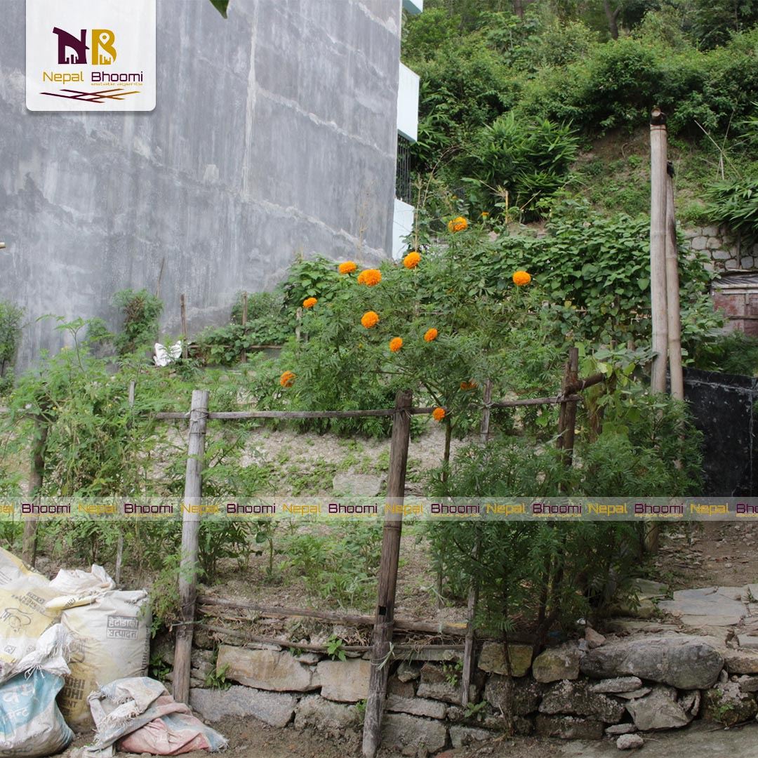 Picture of Budhanilkantha Municipality, Bagmati Province