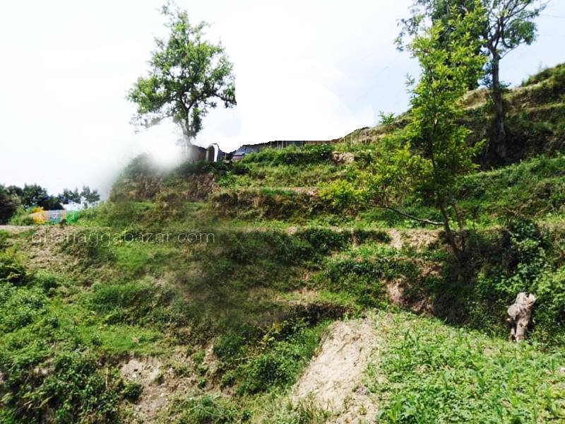 Picture of Shankharapur Municipality, Bagmati Province