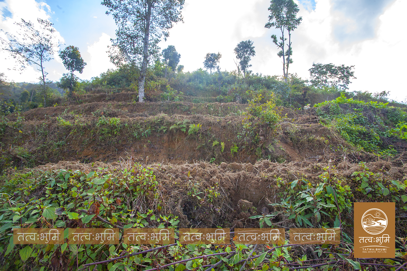 Picture of Shivapuri Rural Municipality, Bagmati