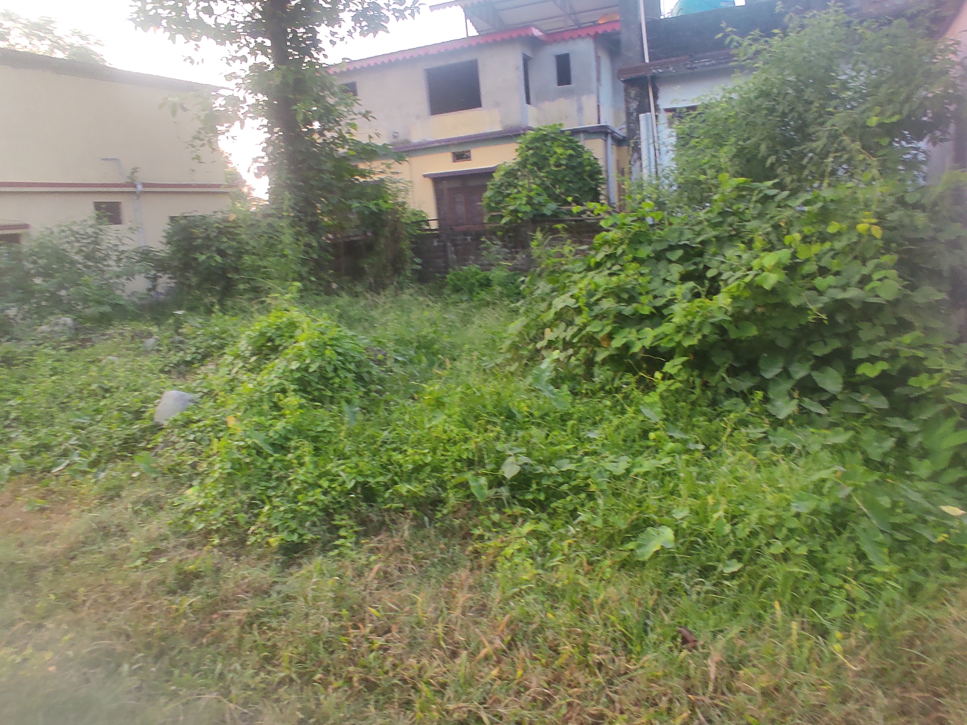 property-image