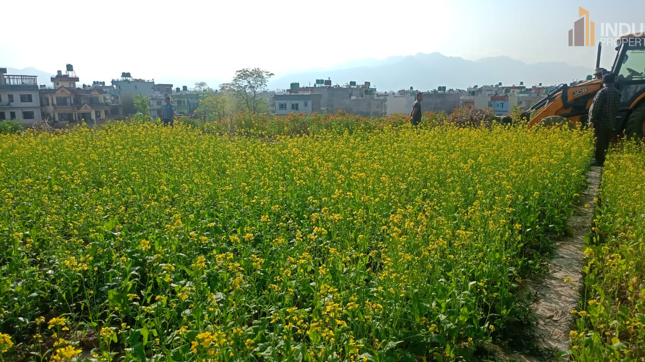 Picture of Suryabinayak Municipality, Bagmati