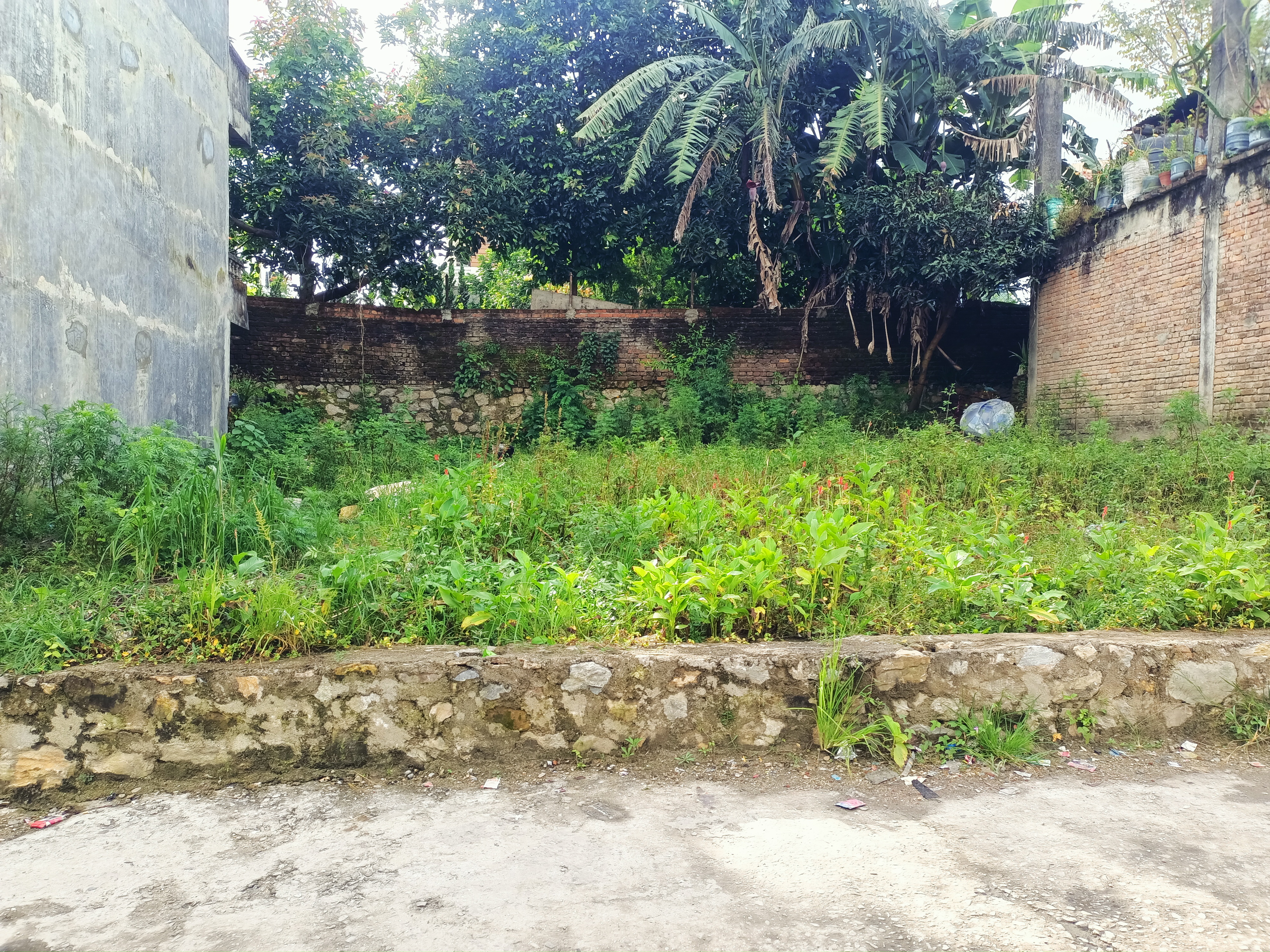 property-image