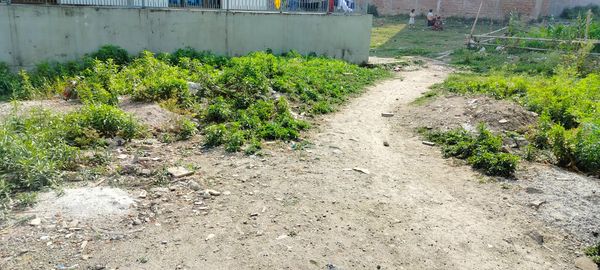 Picture of Nagarjun Municipality, Bagmati