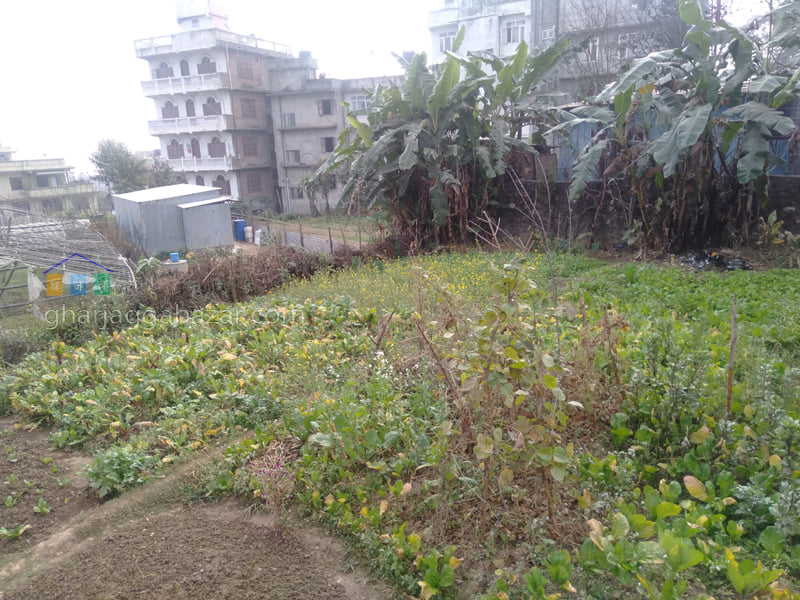Picture of Chandragiri  Municipality, Bagmati Province