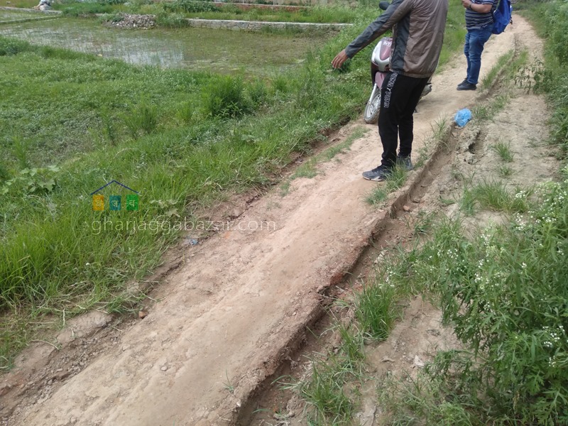 Picture of Lalitpur Metropolitan City, Bagmati Province