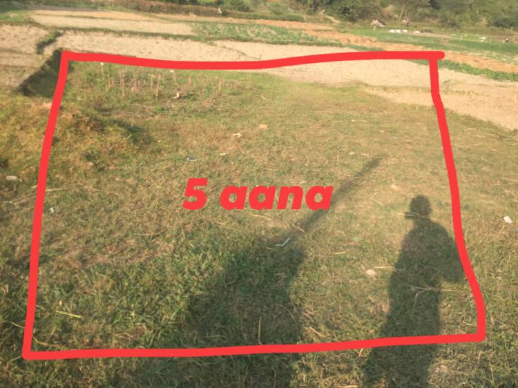 property-image
