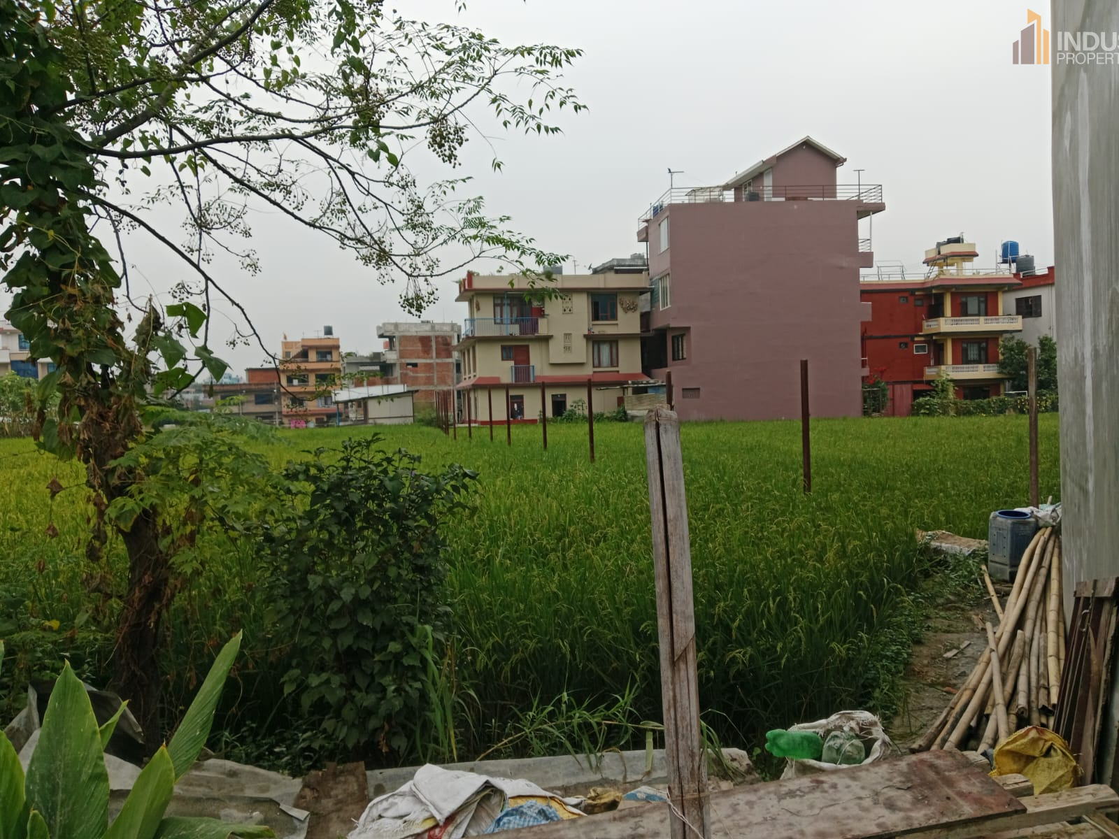 Picture of Mahalaxmi Municipality, Bagmati